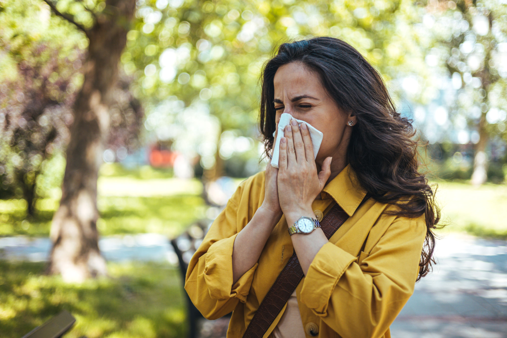 allergy season