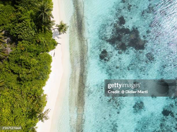 top down view of dhigurah island in the maldives - ari atoll stock pictures, royalty-free photos & images