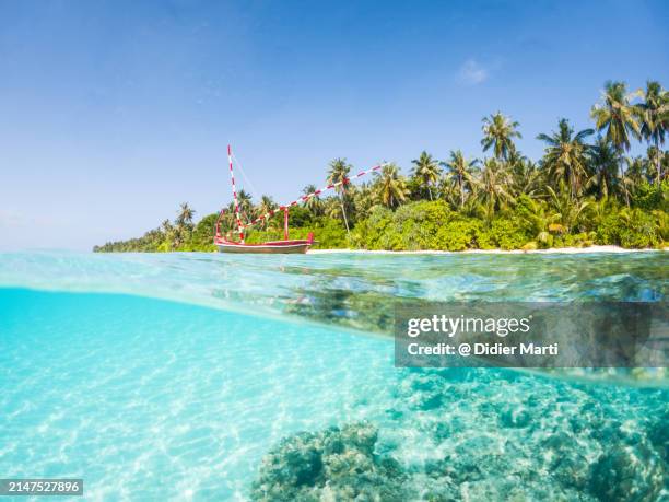 split shot of dhigurah island in the maldives - océan indien photos et images de collection