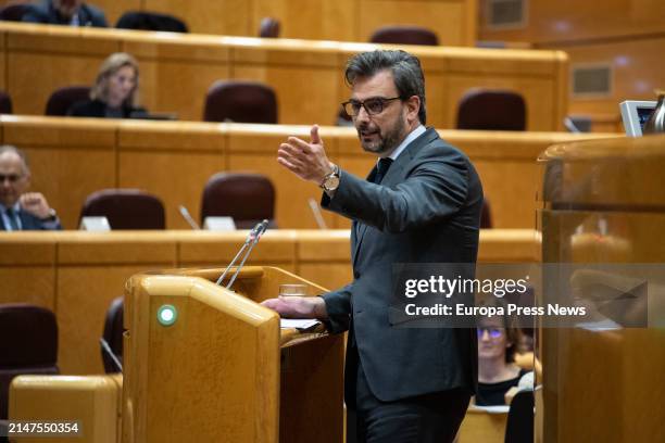 The First Vice-President and Minister of Presidency, Justice and Sports of the Regional Government of Galicia, Diego Calvo, speaks during the General...