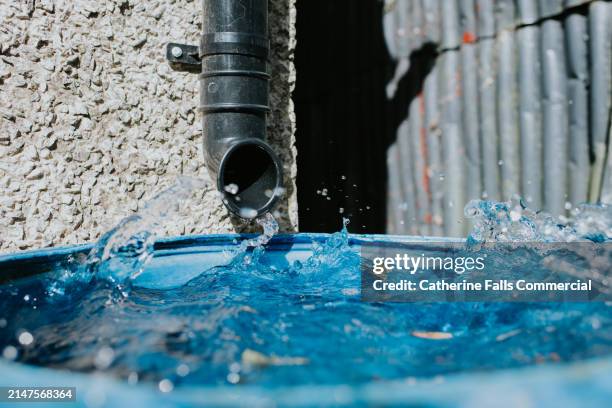 close-up of black plastic guttering draining into a large blue catchment basin - bucket stock pictures, royalty-free photos & images