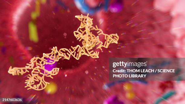 ilustraciones, imágenes clip art, dibujos animados e iconos de stock de rna obelisk in human gut, illustration - microorganismo