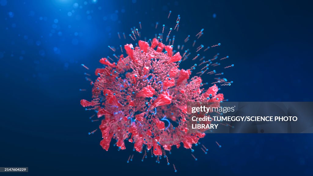 Soap molecules destroying a coronavirus, illustration