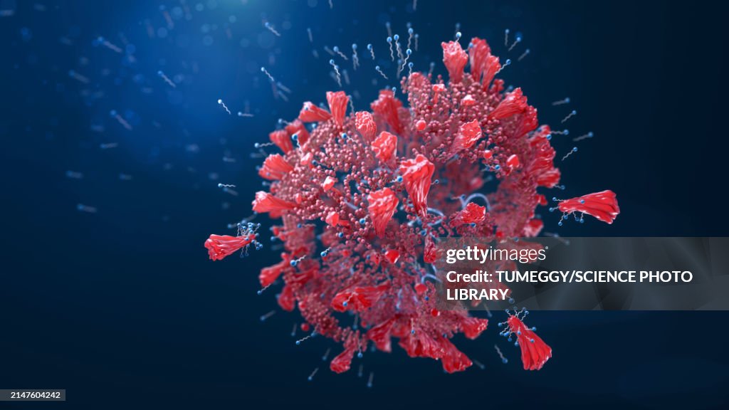 Soap molecules destroying a coronavirus, illustration