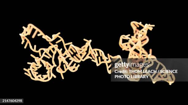 rna obelisk, illustration - microbiome stock illustrations