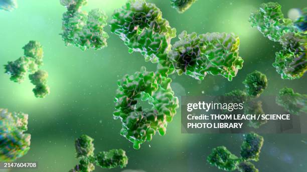 antibody drugs, illustration - immunotherapy stock illustrations
