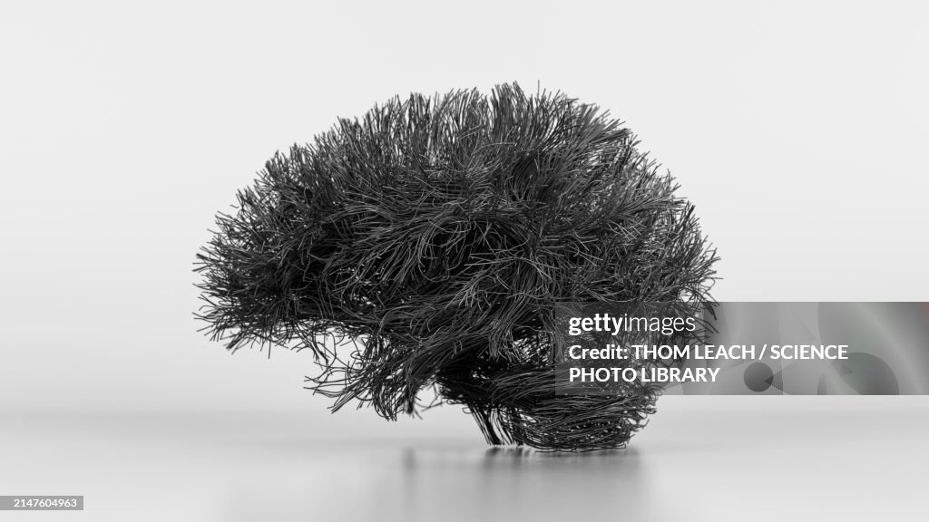 Brain connections, illustration