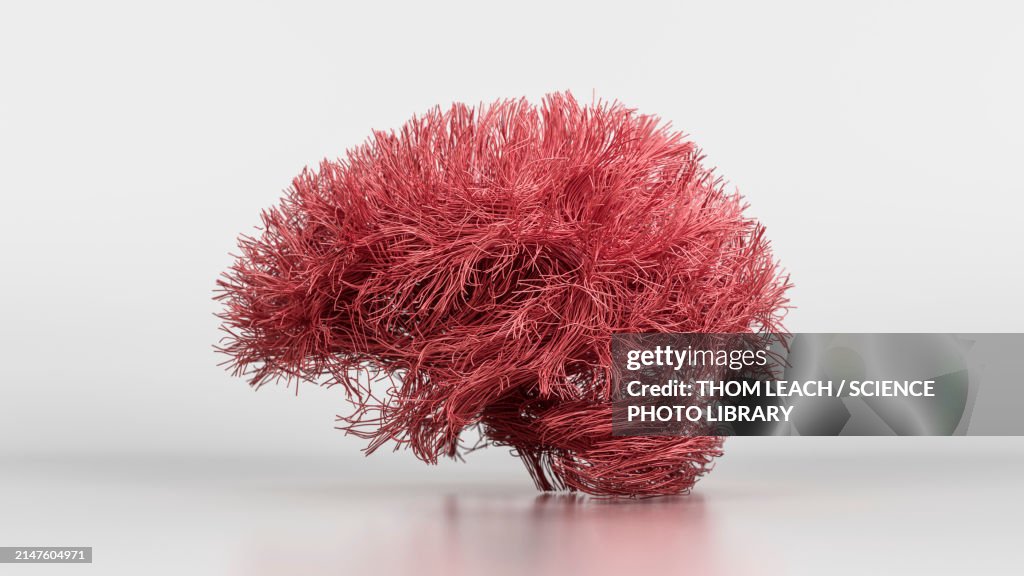 Brain connections, illustration