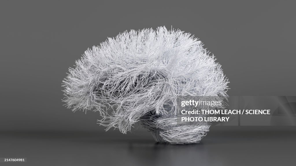 Brain connections, illustration