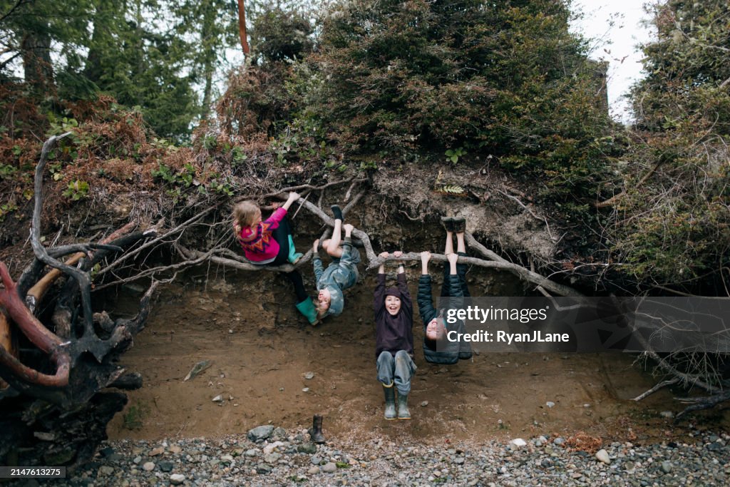 Baby In Tree Roots Children Climbing And Playing On Tree Roots High-Res Stock Photo ...