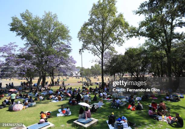 People gather to watch the eclipse at the campus of the Universidad Autónoma de México "Las Islas" on April 08, 2024 in Mexico City, Mexico. Millions...
