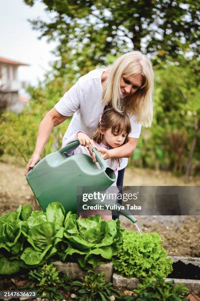 family in a garden. - kruidentuin stockfoto's en -beelden