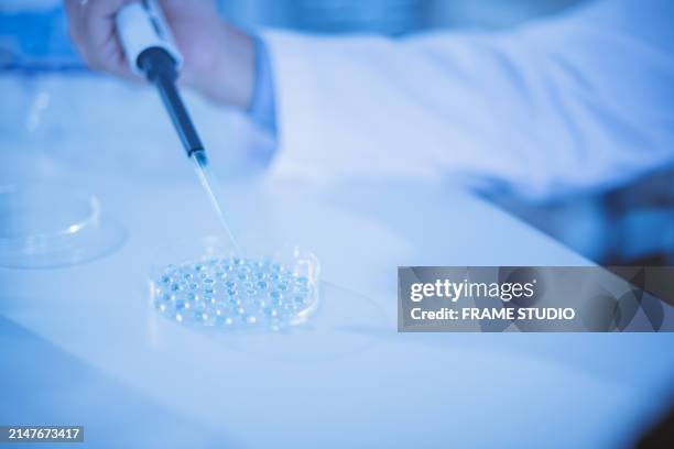 scientist using a micropipette to dispense samples into a 96-well plate in a laboratory setting, research and experimentation. - 96 well plate stock pictures, royalty-free photos & images
