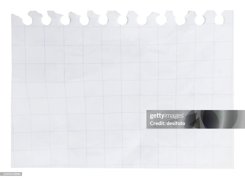 Math Paper Ripped A Horizontal Vector Illustration Of A Blank Checkered Pattern Off White ...
