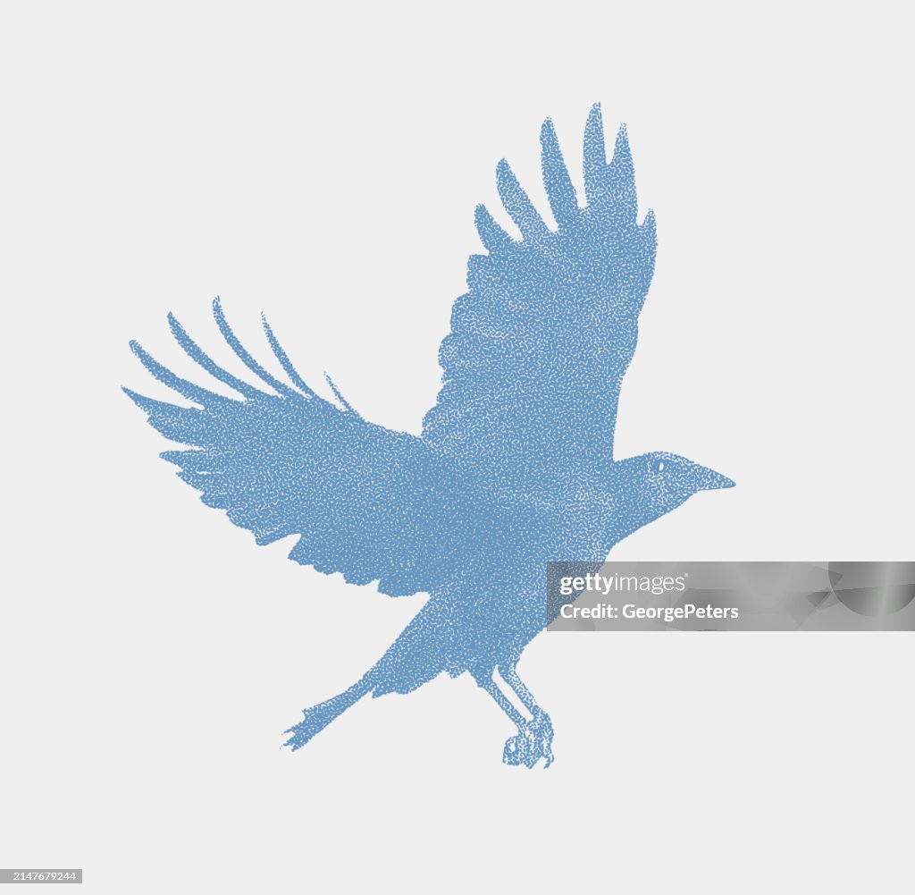 Raven In Flight Icon Raven Flying High-Res Vector Graphic - Getty Images