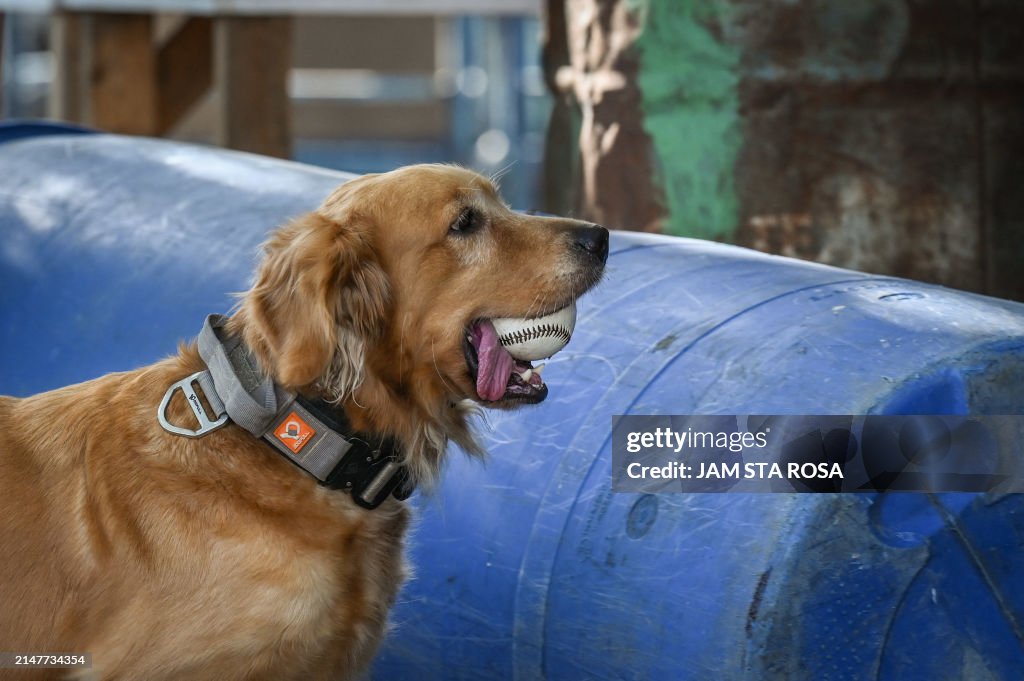 PHILIPPINES-DISASTER-ANIMAL