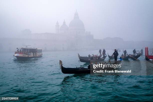 Gondolas with tourists, are rowed across the Canale Grande, Basilica di Santa Maria della Salute, shrouded in mist, in the distance. The entire town...