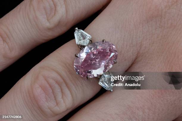 Staff member wears fancy vivid pink diamond ring weighing 6.21 carats, VS1 Clarity, Type Iia, estimate: $10 000-15 000 during a photocall at Phillips...