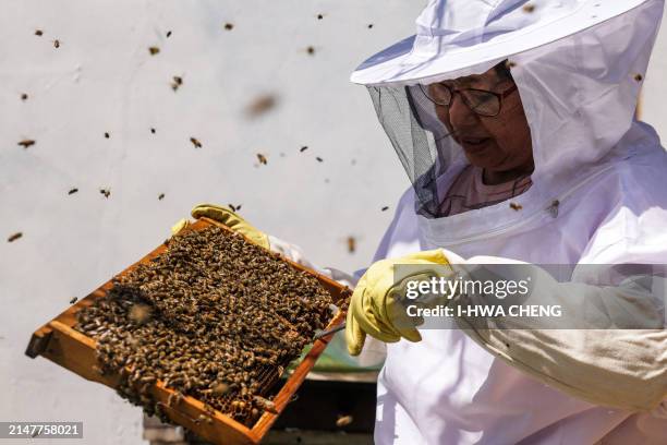 In this picture taken on March 12 urban beekeeper Sherry Liu cleans a frame from a bee hive box on her house's rooftop at Shihlin district in Taipei....