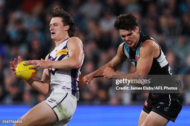 Jye Amiss of the Dockers clashes with Brandon Zerk-Thatcher of the Power during the 2024 AFL Round 05 match between the Port Adelaide Power and the...