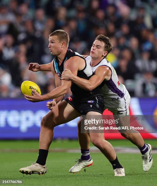 Ollie Wines of the Power is tackled by Caleb Serong of the Dockers during the 2024 AFL Round 05 match between the Port Adelaide Power and the...
