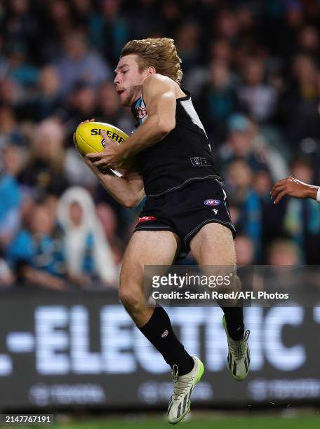 Jason Horne-Francis of the Power marks the ball in the goal square and kicks a goal during the 2024 AFL Round 05 match between the Port Adelaide...