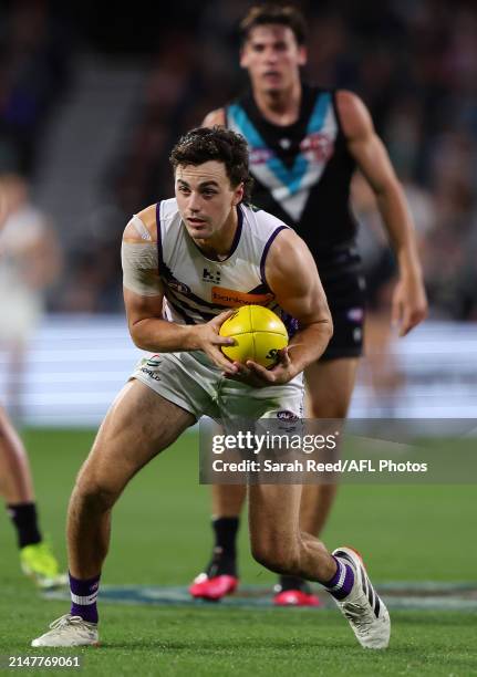 Jordan Clark of the Dockers during the 2024 AFL Round 05 match between the Port Adelaide Power and the Fremantle Dockers at Adelaide Oval on April...