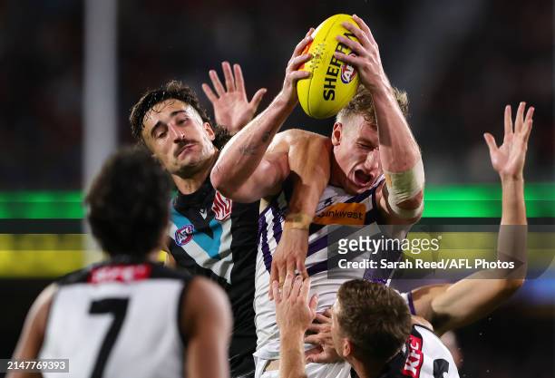 Josh Treacy of the Dockers and Ivan Soldo of the Power during the 2024 AFL Round 05 match between the Port Adelaide Power and the Fremantle Dockers...