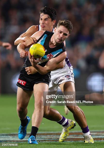 Jed McEntee of the Power and Bailey Banfield of the Dockers during the 2024 AFL Round 05 match between the Port Adelaide Power and the Fremantle...