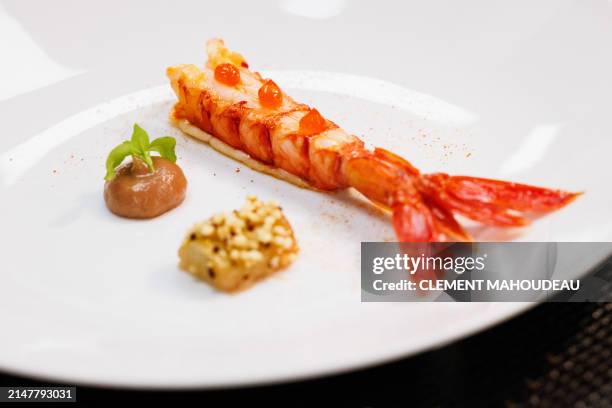 This photograph taken on April 13 shows "Carabineros " dish of three Michelin-starred French chef for "La Table du Castellet" Fabien Ferre , at his...