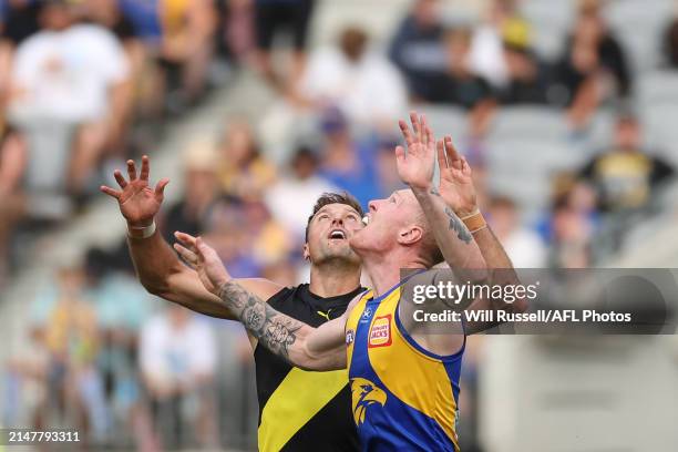 Toby Nankervis of the Tigers contests a ruck with Bailey J. Williams of the Eagles during the 2024 AFL Round 05 match between the West Coast Eagles...