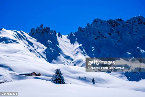 Hilly agricultural countryside with snow-covered pastures, trees and wooden huts at Seiser Alm in winter, summits of Denti di Terrarossa in the...