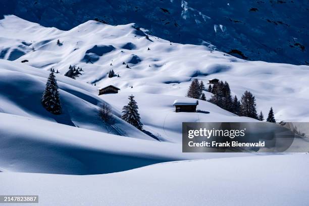 Hilly agricultural countryside with snow-covered pastures, trees and wooden huts at Seiser Alm in winter. The entire Dolomites are part of the Unesco...