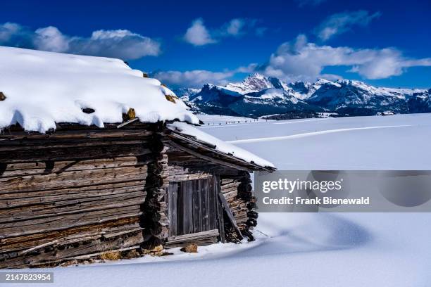 Hilly agricultural countryside with snow-covered pastures and a wooden hut at Seiser Alm in winter, summits of Gruppo delle Odle in the distance. The...