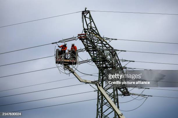 April 2024, Saxony, Limbach-Oberfrohna: Fitters renew a 110 KV high-voltage line of the electricity grid operator Mitnetz. The largest distribution...