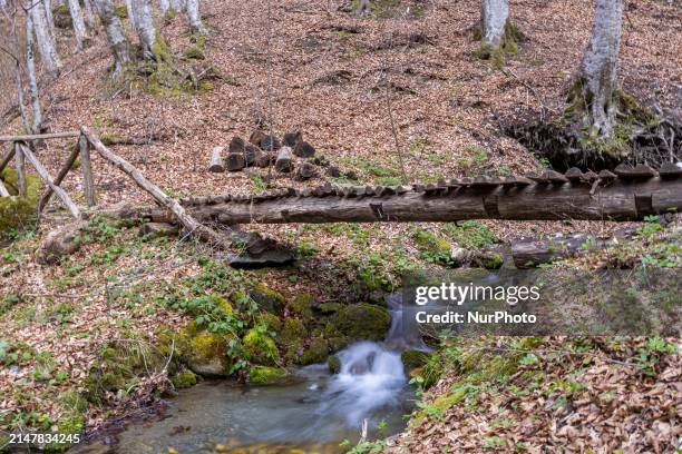 Landscape with a forest with deciduous trees, wooden bridge over the stream with the fresh running water and the colorful foliage. Mount Paiko, a...