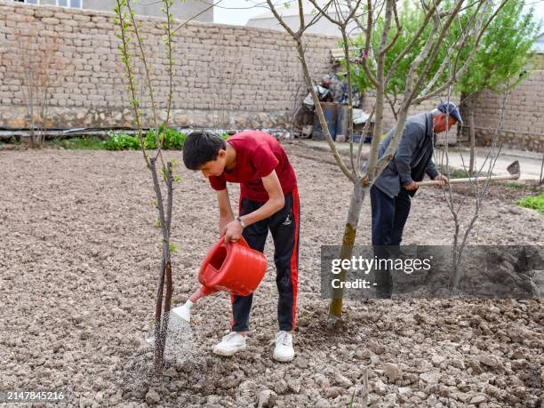 Djamoliddine Makhmaliev plants trees in the yard of his new house in the village of Khuroson, near Obikiik, some 70 kilometers south of the capital...