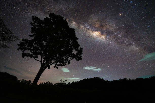 LKA: Milky Way Seen Over Ratnapura