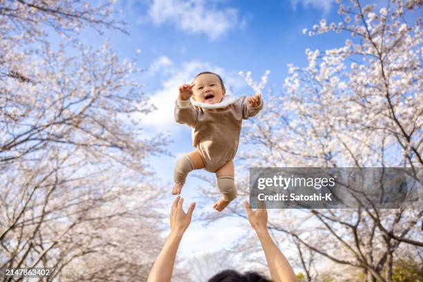 baby boy flying in the sky with cherry blossoms - offspring culture tourism festival stock pictures, royalty-free photos & images