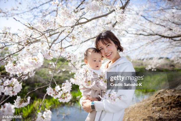 portrait of mother holding her baby boy under cherry blossoms - offspring culture tourism festival stock pictures, royalty-free photos & images