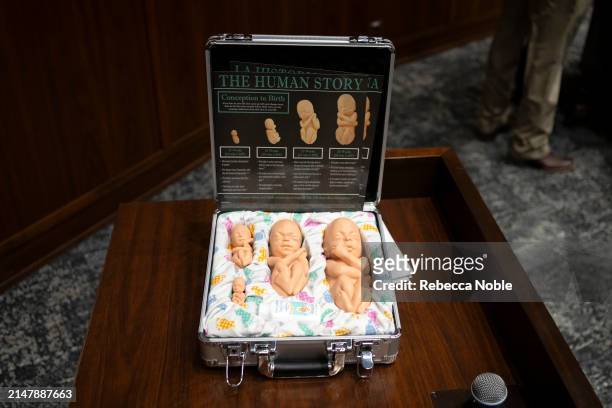 Figurines depicting fetuses at varying stages of development are seen on Arizona State Rep. Barbara Parker's desk during a legislative session at the...