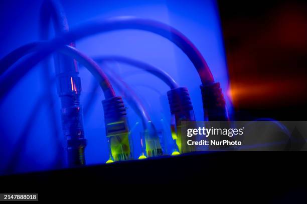 Ethernet calbe wires lighting up connected to an internet router modem are seen against a blue background in Warsaw, Poland in this illustration...