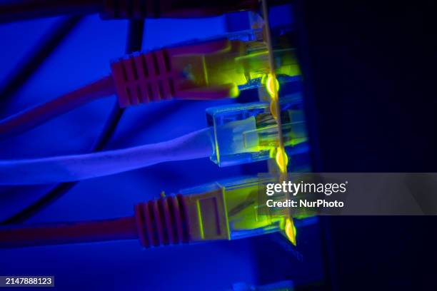 Ethernet calbe wires lighting up connected to an internet router modem are seen against a blue background in Warsaw, Poland in this illustration...
