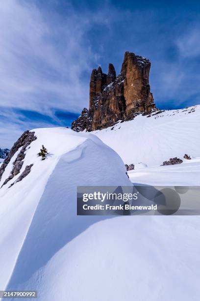 Snowdrift creating artful structures in Tre Cime Natural Park in winter, the summits of Tre Cime di Lavaredo in the distance, seen from Forcella...