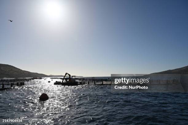 Fish cages are at the Kastelorizo Group fish farm in the Saronic Gulf near Athens, Greece, on April 18, 2024. Greece is a leading producer of farmed...