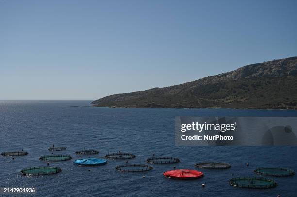 Fish cages are at the Kastelorizo Group fish farm in the Saronic Gulf near Athens, Greece, on April 18, 2024. Greece is a leading producer of farmed...