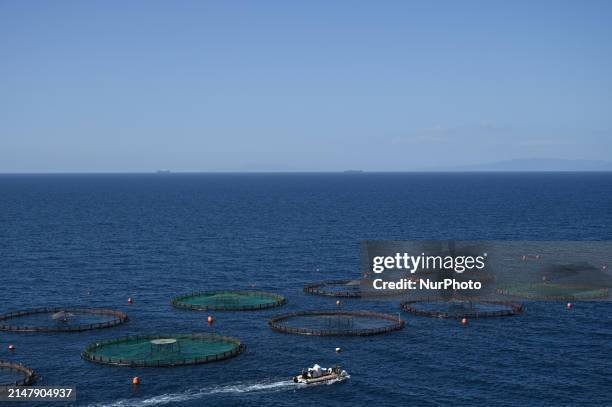 Fish cages are at the Kastelorizo Group fish farm in the Saronic Gulf near Athens, Greece, on April 18, 2024. Greece is a leading producer of farmed...