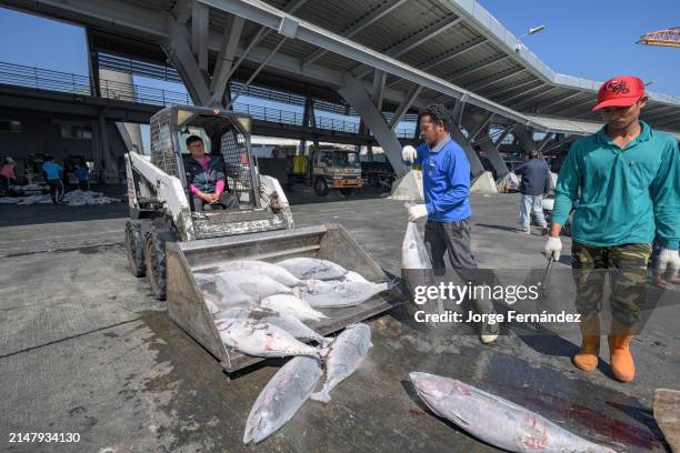 Fish Load 501 Loading Fish Stock Photos, High-Res Pictures, and Images - Getty Images