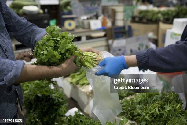 Coriander is packed in a plastic bag at Paddy's Markets in Sydney, Australia, on Saturday, April 20, 2024. Australia is scheduled to release consumer...