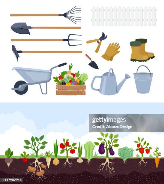 garden with vegetables. garden landscape. cartoon concept with summer garden scene. garden tools. - farm tools stock illustrations